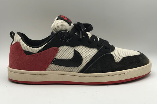 EUR SIZE 42 | Nike SB Alleyoop