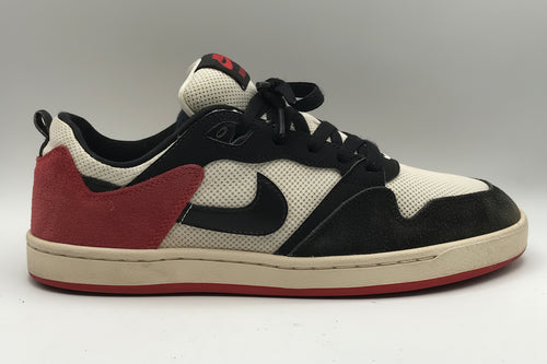 EUR SIZE 42 | Nike SB Alleyoop