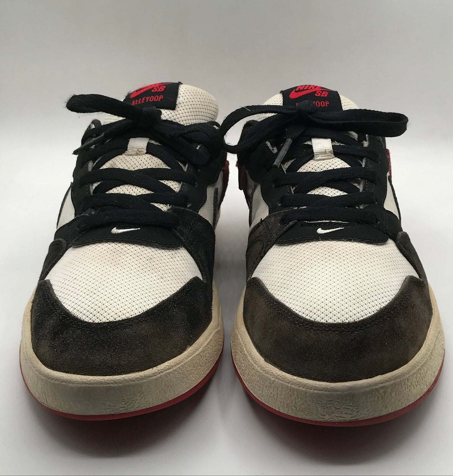 EUR SIZE 42 | Nike SB Alleyoop