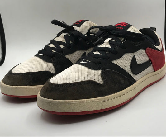 EUR SIZE 42 | Nike SB Alleyoop